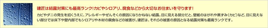 建匠は結露対策にも最高ランク!カビやシロアリ、腐食などから大切なお住まいを守ります!