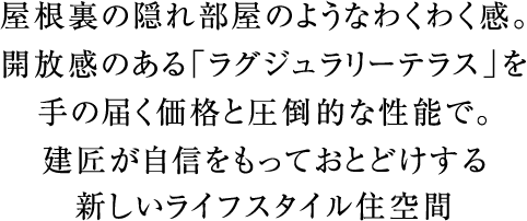 屋根裏の隠れ部屋のようなわくわく感。開放感のある「ラグジュラリーテラス」を手の届く価格と圧倒的な性能で。建匠が自信をもっておとどけする新しいライフスタイル住空間