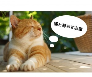 猫と暮らすお家